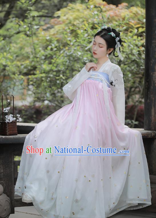 Chinese Tang Dynasty Noble Consort Costumes Traditional Ancient Goddess Hanfu Garment Blue Cloak Blouse and Dress Full Set