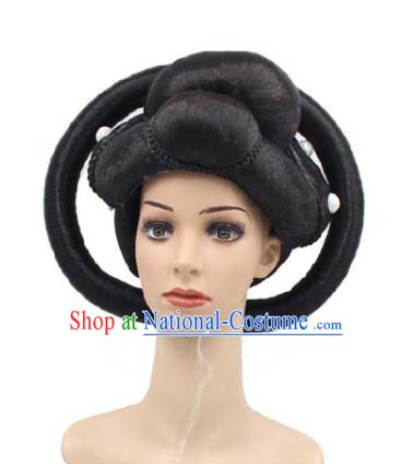 Chinese Classical Dance Hair Chignon Traditional Tang Dynasty Imperial Consort Wigs Sheath