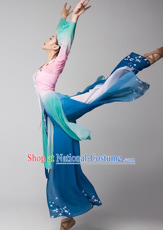 Top Chinese Woman Group Fan Dance Garment Costume Traditional Stage Performance Clothing Classical Dance Dress