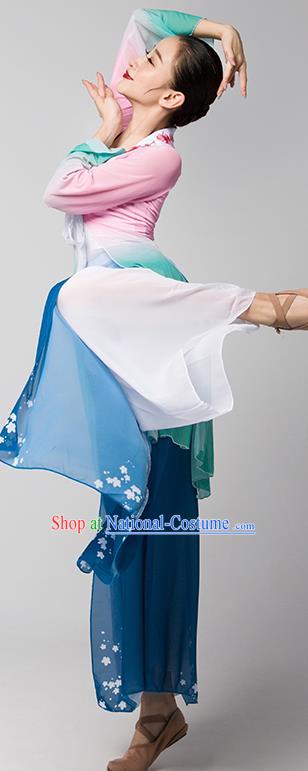 Top Chinese Woman Group Fan Dance Garment Costume Traditional Stage Performance Clothing Classical Dance Dress