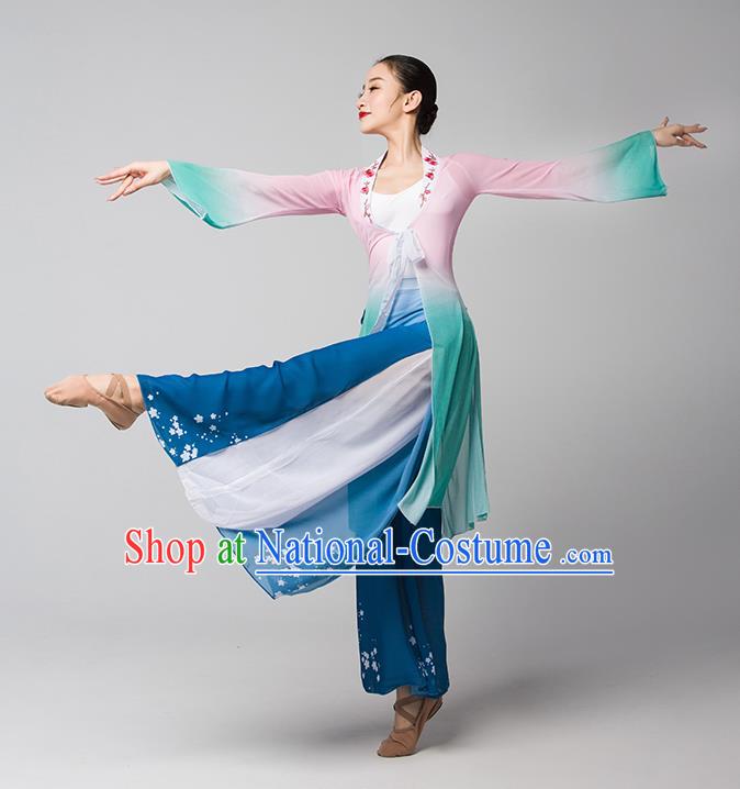 Top Chinese Woman Group Fan Dance Garment Costume Traditional Stage Performance Clothing Classical Dance Dress