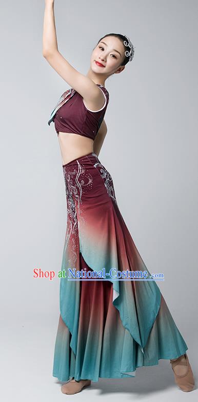 China Peacock Dance Maroon Dress Dai Nationality Folk Dance Clothing Yunnan Ethnic Stage Performance Garments