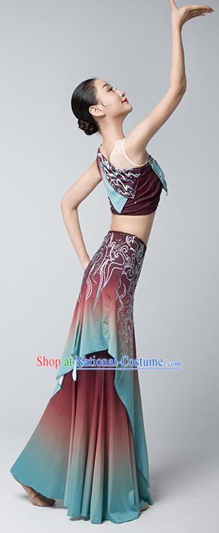 China Peacock Dance Maroon Dress Dai Nationality Folk Dance Clothing Yunnan Ethnic Stage Performance Garments