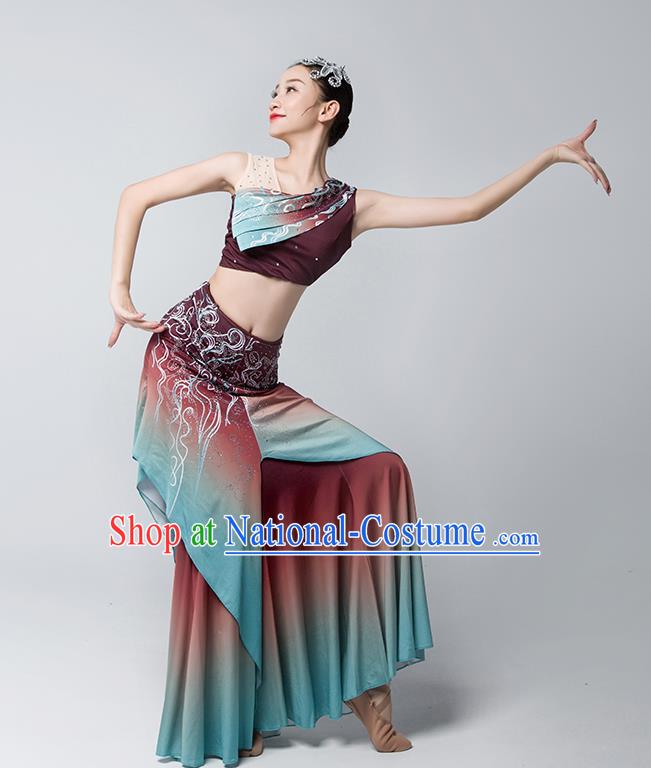 China Peacock Dance Maroon Dress Dai Nationality Folk Dance Clothing Yunnan Ethnic Stage Performance Garments