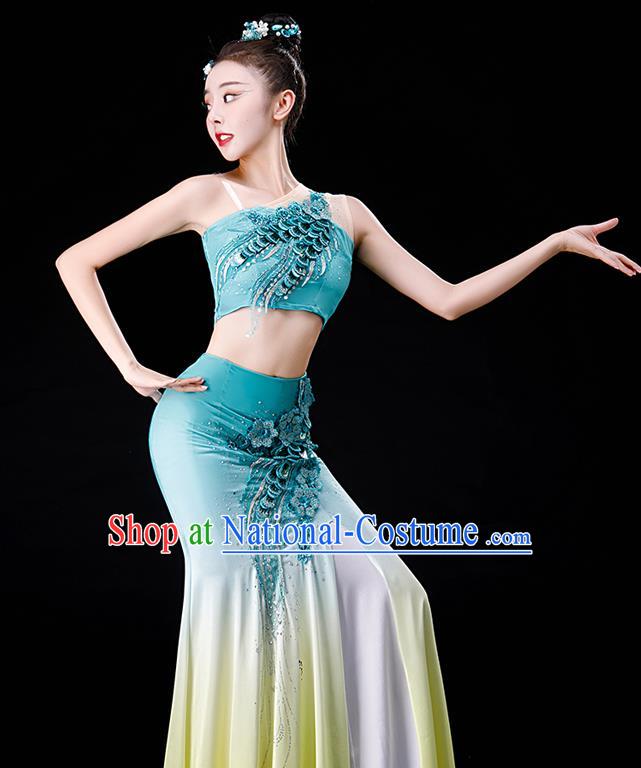 Chinese Yunnan Folk Dance Garment Costumes Ethnic Peacock Dance Blue Dress Outfits Dai Nationality Female Performance Clothing