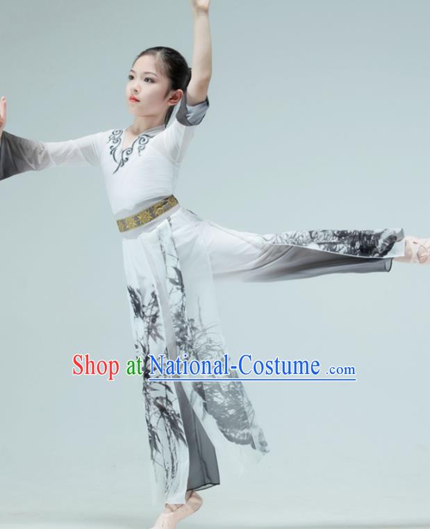 Chinese Classical Dance Garment Children Sword Dance Clothing Stage Performance Costume Mang Zhong Dance Ink Painting Outfit