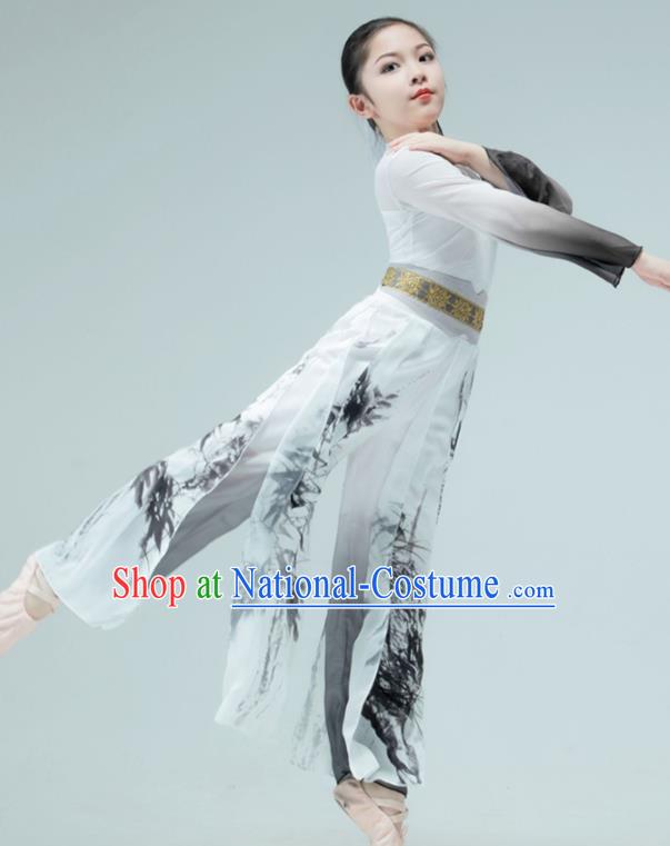 Chinese Classical Dance Garment Children Sword Dance Clothing Stage Performance Costume Mang Zhong Dance Ink Painting Outfit