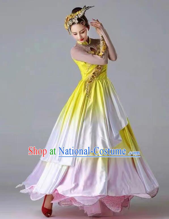 Professional Stage Performance Flower Dance Dress Pink Costume for Women