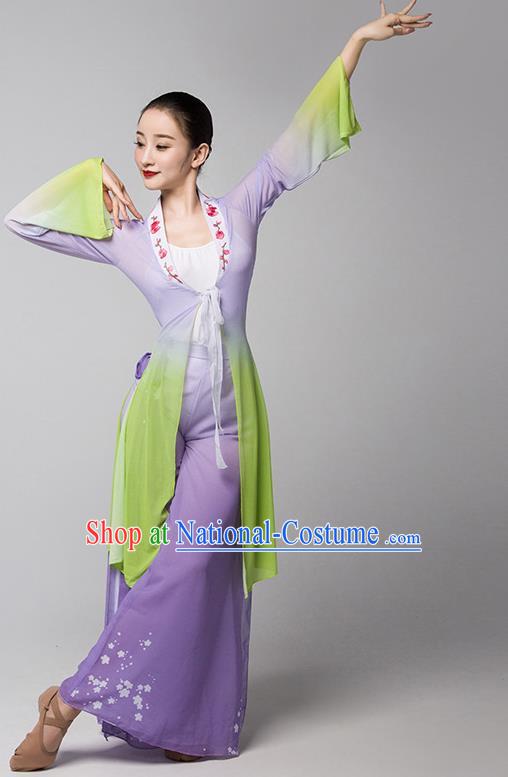 Practice Clothes Modern Dance Dream Catcher Chinese Ancient Style Gauze Clothes Shape Elegant Shawl Performance Dance Clothes