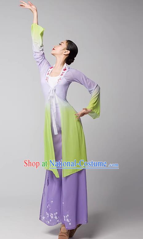 Practice Clothes Modern Dance Dream Catcher Chinese Ancient Style Gauze Clothes Shape Elegant Shawl Performance Dance Clothes