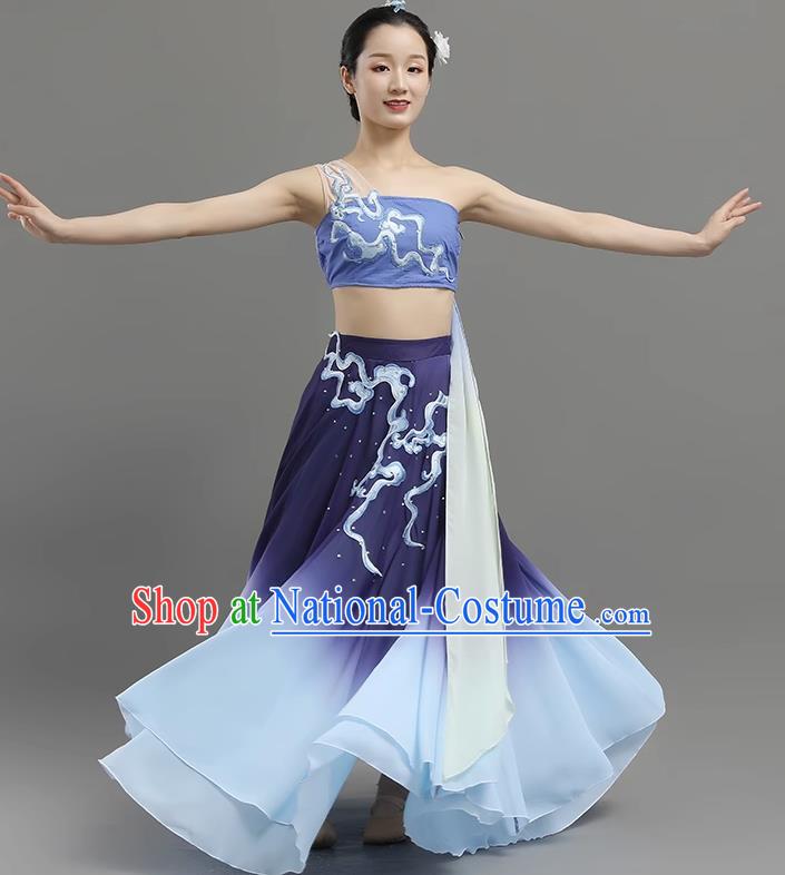 China Classical Dance Dance Under The Moon Dance Costume Big Skirt Practice Art Test Performance Dance Performance Costume