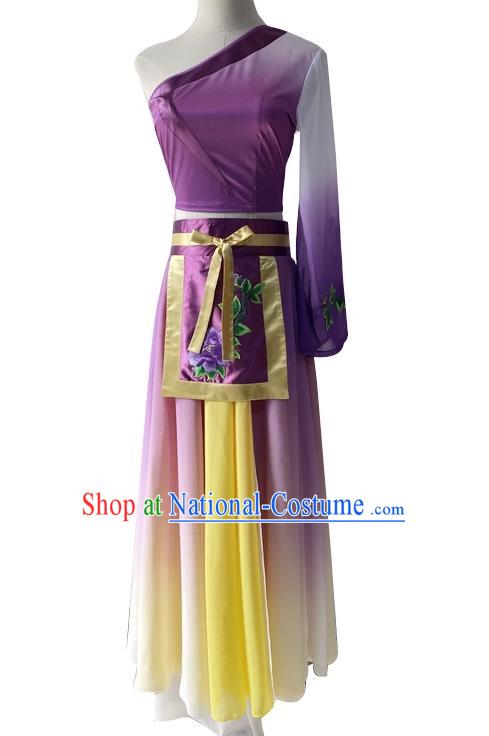 China Classical Dance Purple Dress Woman Stage Performance Costume Taoli Cup Dance Competition Clothing